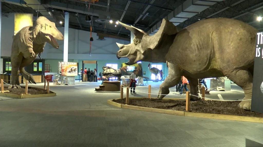 Lake Mackenzie camping